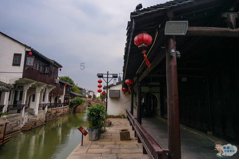 大猩猩库巴